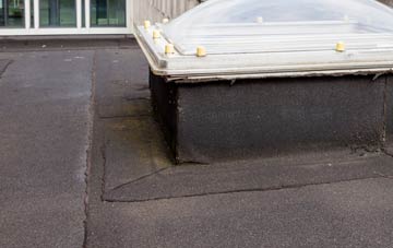 disadvantages of Hunts Hill flat roofs