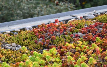 the cost of Hunts Hill green roof installation