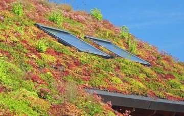 Hunts Hill living roof systems